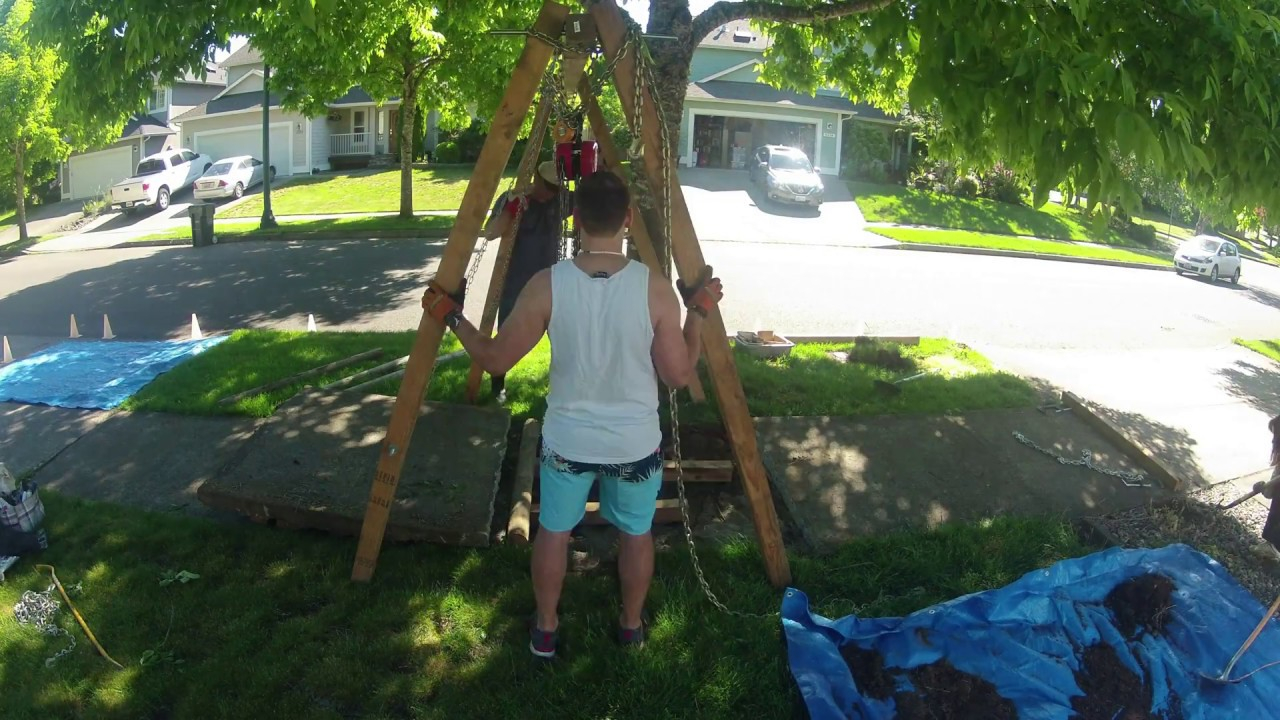 Removing Sidewalk Lifting Tree Roots in measurements 1280 X 720