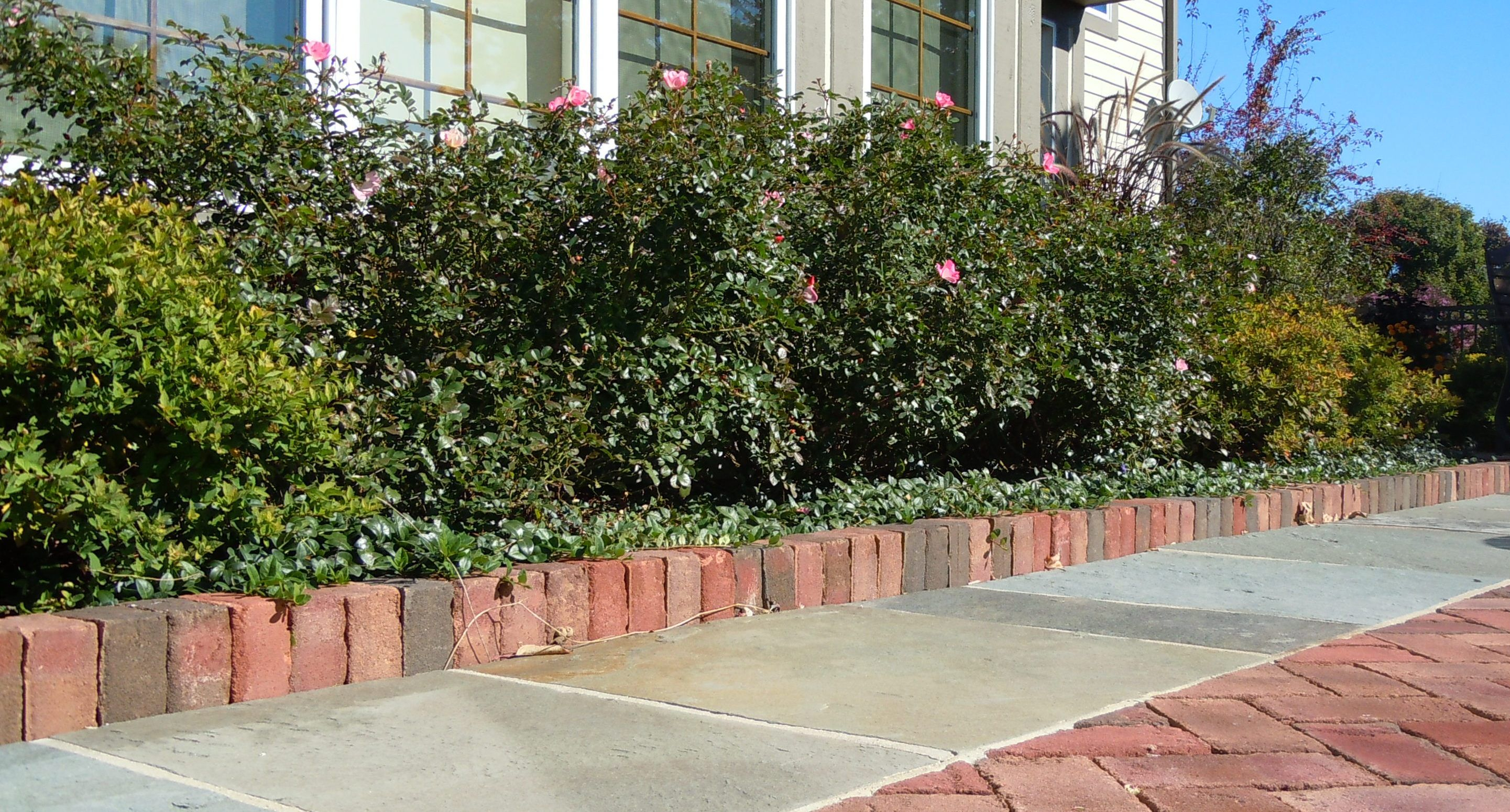 Soldier Course Of Brick Edging Along A Brick Patio Edged In with regard to sizing 2882 X 1550