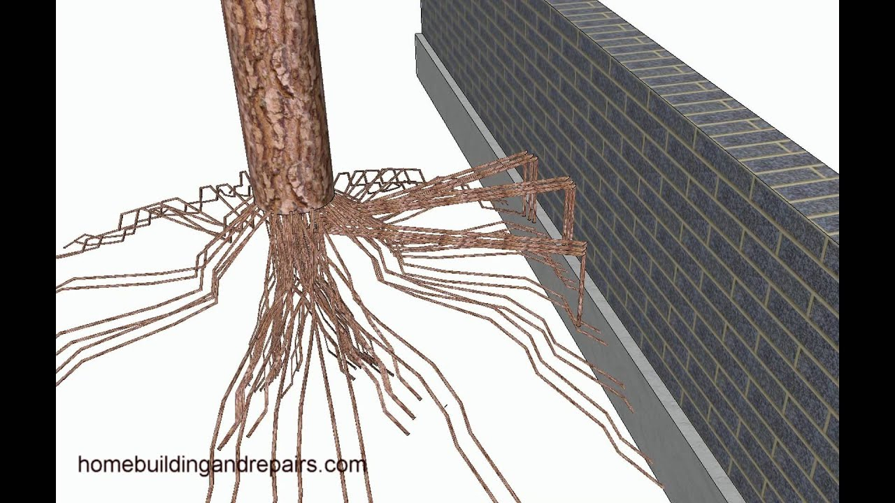 Tree Roots Can Move Small Retaining Walls Landscaping Design Tips for size 1280 X 720