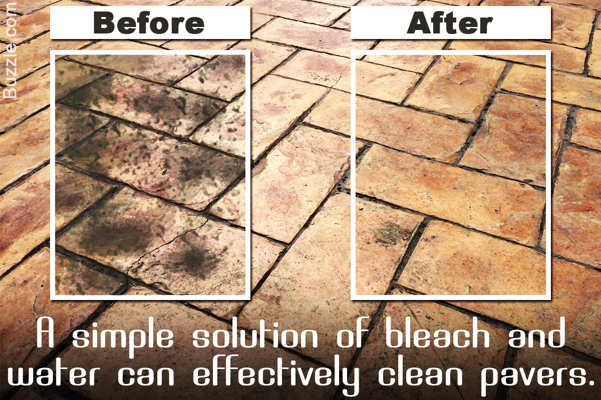 Truly Effective Methods Of Cleaning Patio And Driveway Pavers pertaining to sizing 1200 X 800